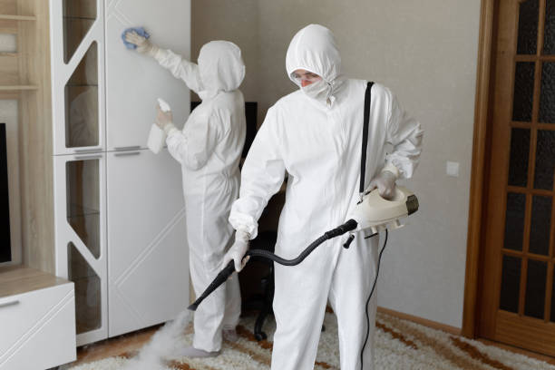 Best Biohazard Mold Removal  in University Heights, OH